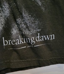 2012 Y2K Twilight Saga Breaking Dawn Part 2 Forever Vampire Edward T-Shirt Small