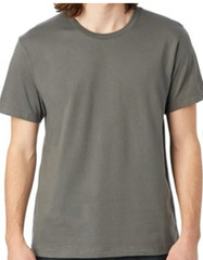 Hanes Brand Alternative Apparel Tee Shirts Men New