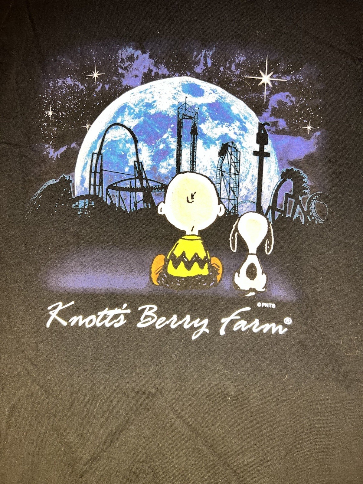 Peanuts x Knott’s Berry Farm graphic tee featuring Charlie Brown and Snoopy L gallery