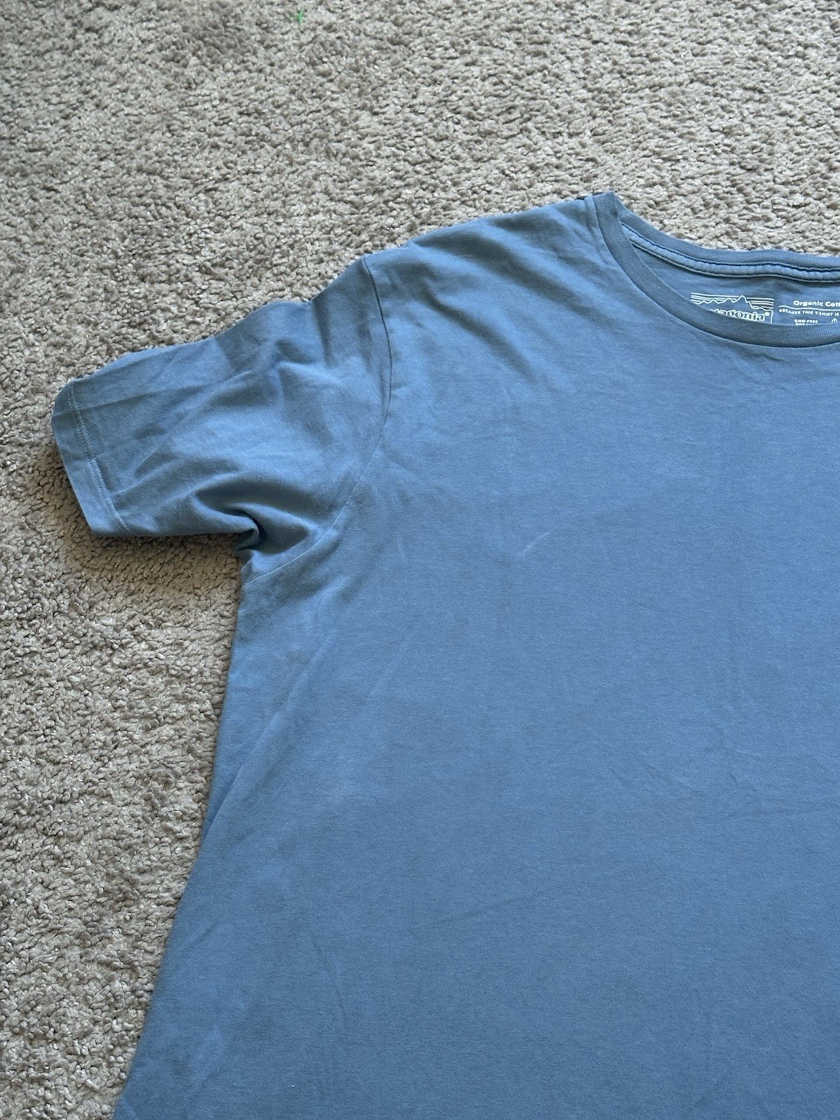 Patagonia Mens Blue Cotton Jersey Double-Sided Graphic Logo Tee Crew Neck M gallery