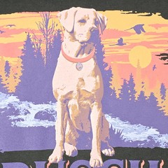 BUSCH LIGHT BEER Shirt MENS MEDIUM GREEN HUNTING DOG CASUAL FISHING Brew USA NWT