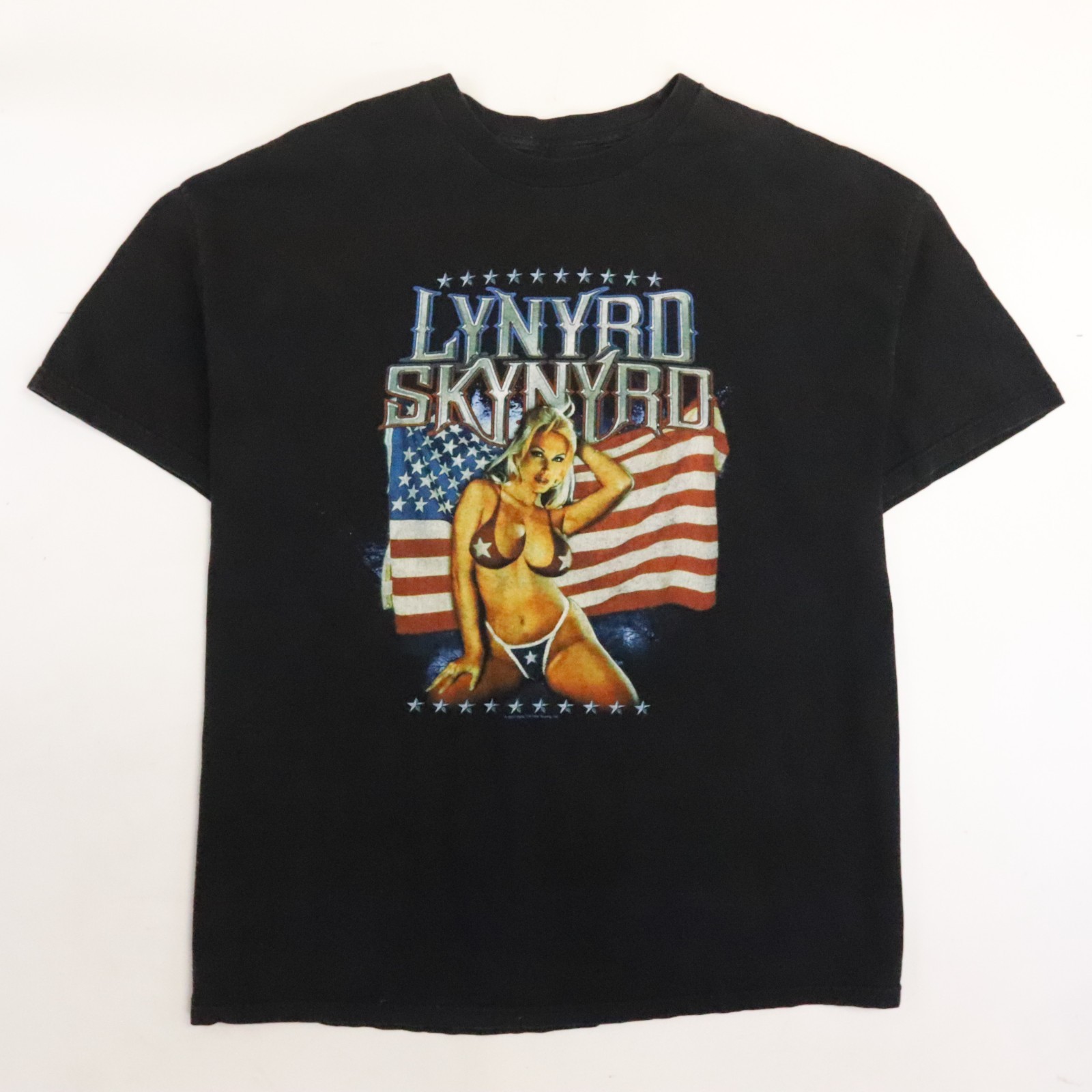 Vintage Lynyrd Skynyrd T-Shirt Size 2XL 2002