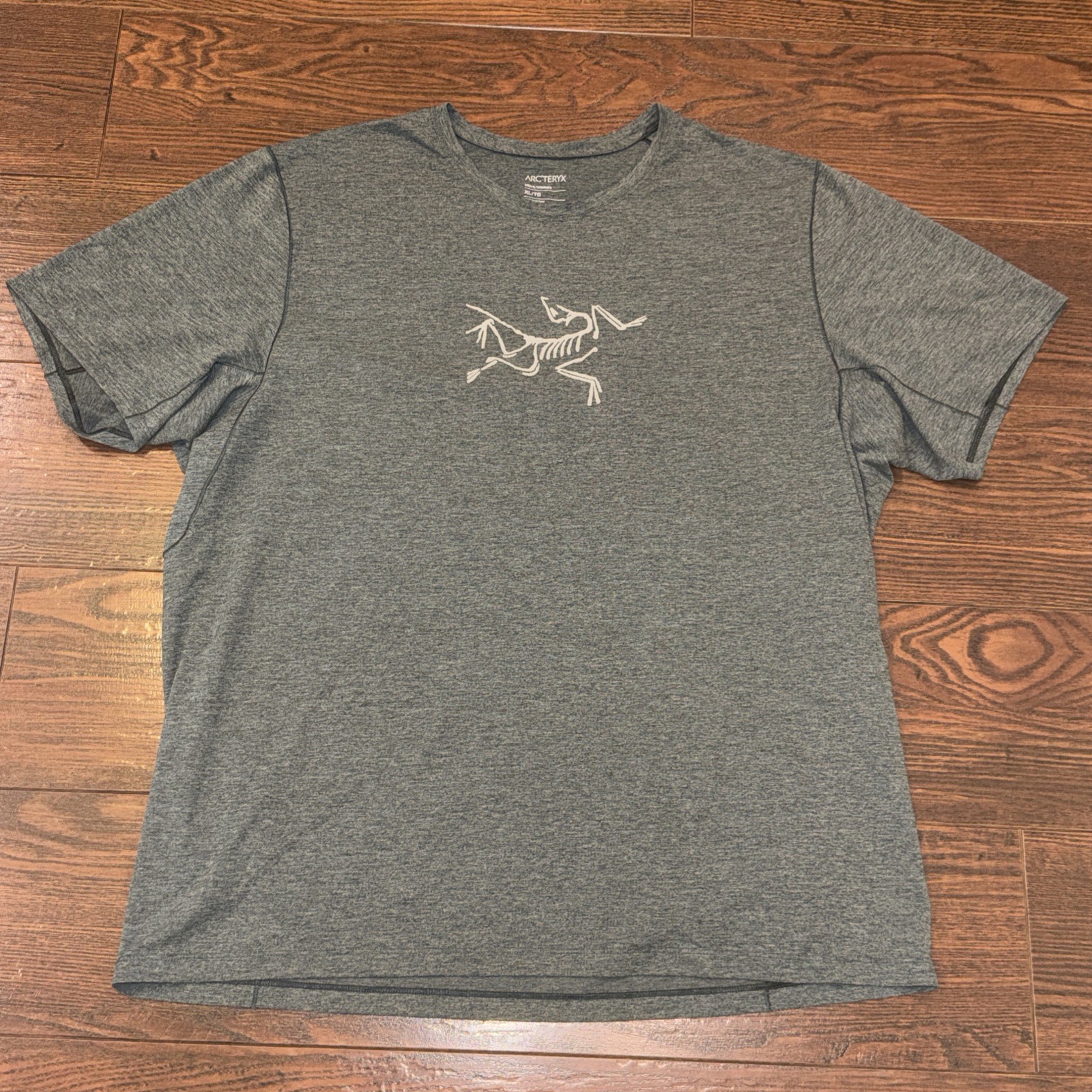 Arcteryx Cormac T-Shirt Men's XL Gray Archaeopteryx Logo Gorpcore Skeleton gallery