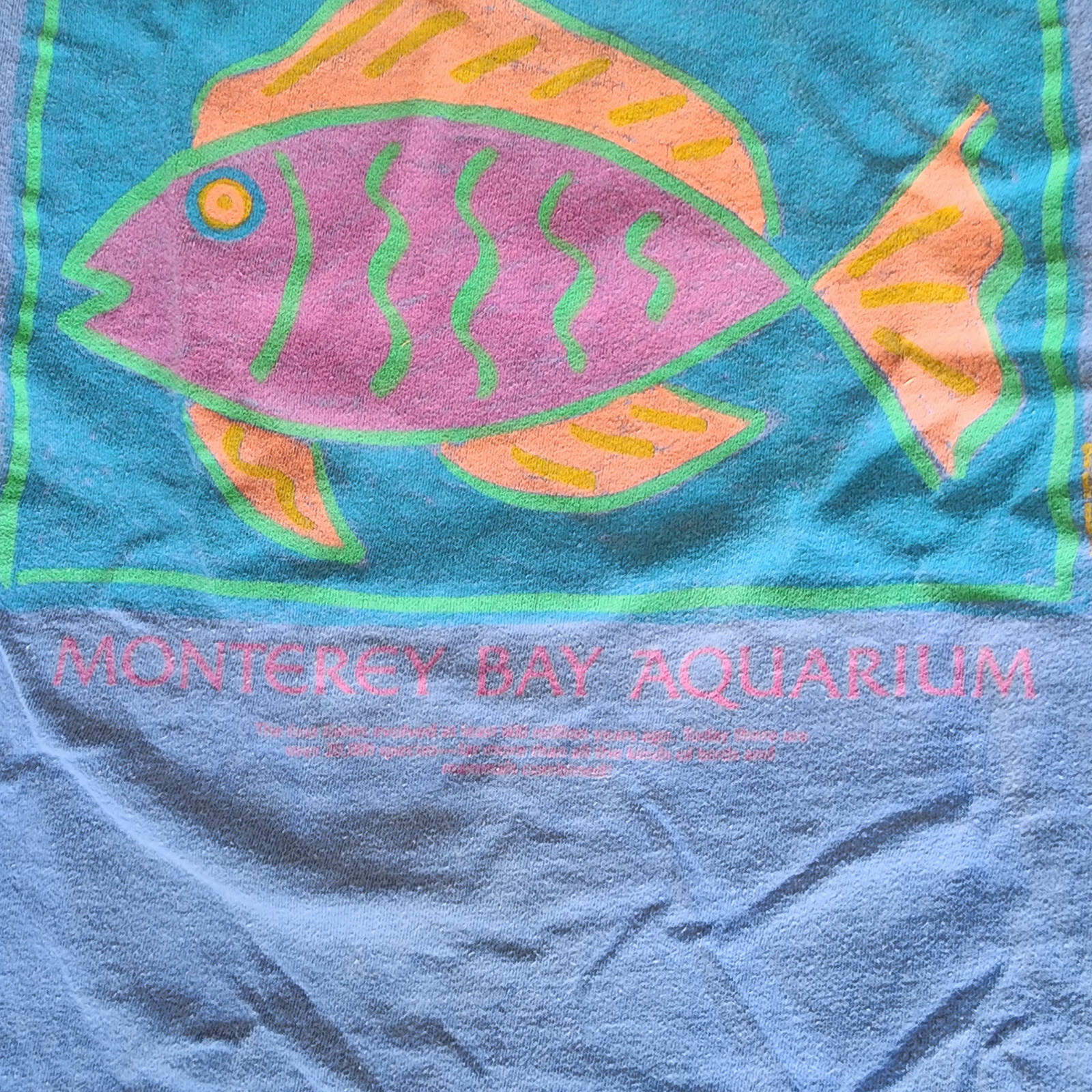 Vtg Monterey Bay Aquarium Tropical Fish T-shirt Purple Neon Retro Tee Sea Life gallery