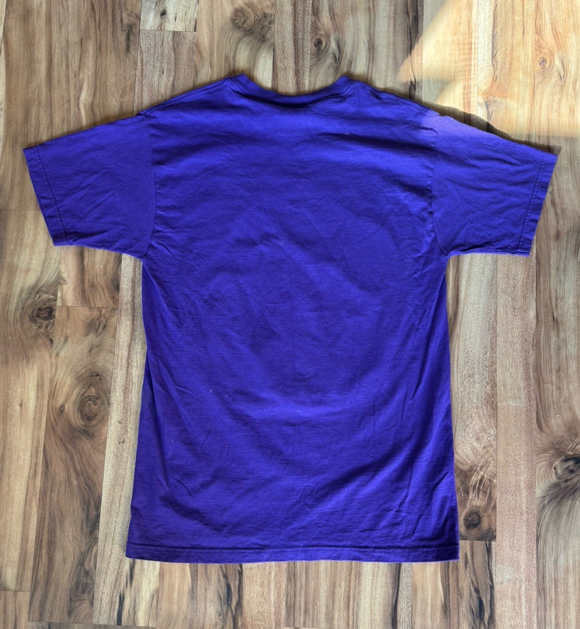 NEW ORLEANS MILLENIUM 2000 Y2K MARDI GRAS Shirt Artwork By Andrea Mistretta gallery