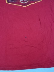 Vintage 2010 Harley Davidson Boston, MA T Shirt Large