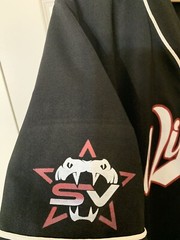 Teamwork Athletic Apparel Vipers Baseball Button Jersey No 17 Rebecca Sz XL