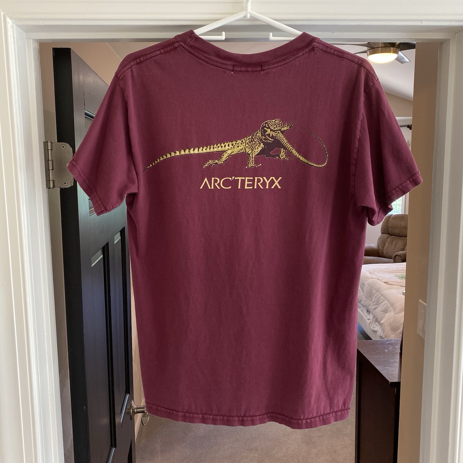 Vintage Arc’teryx Big Tag Lizard Eat Lizard Tee - Men’s Medium - Ultra Rare gallery