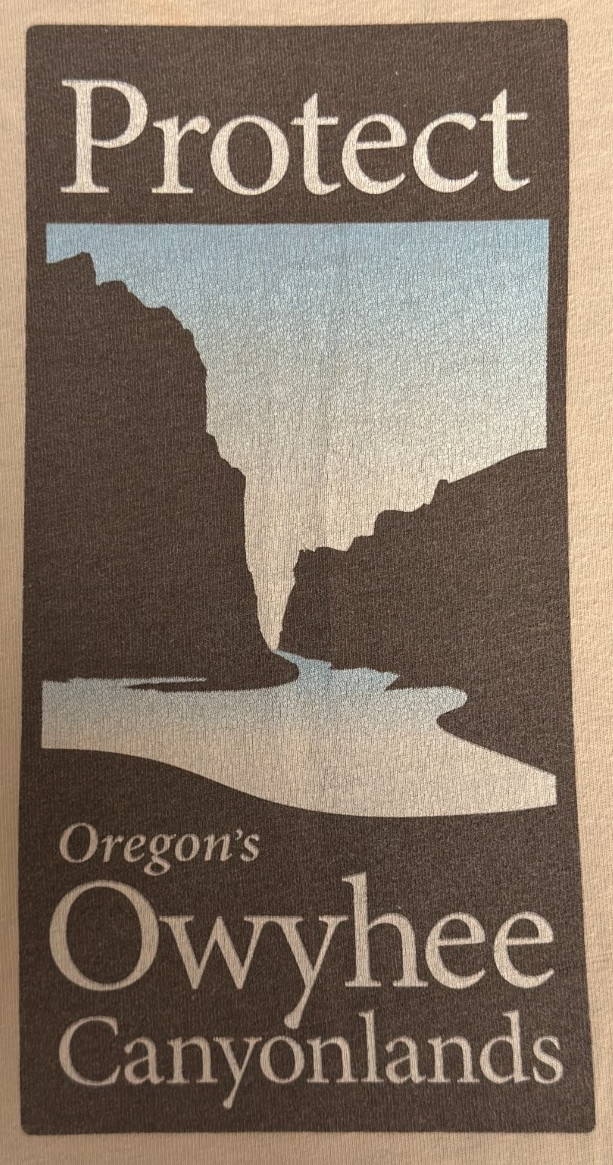 Patagonia Owyhee Canyonlands TShirt Size M Organic Cotton Made in USA Tan Unisex gallery