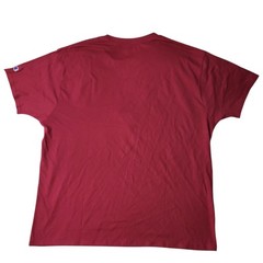 Champion Men’s NCAA Short Sleeve Embroidered Crew Neck Tee