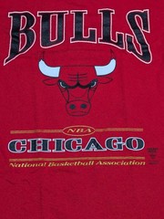 🔥👀RARE VTG 90s Chicago Bulls Nutmeg Mills T Shirt L *fits M/S NBA Puff Print
