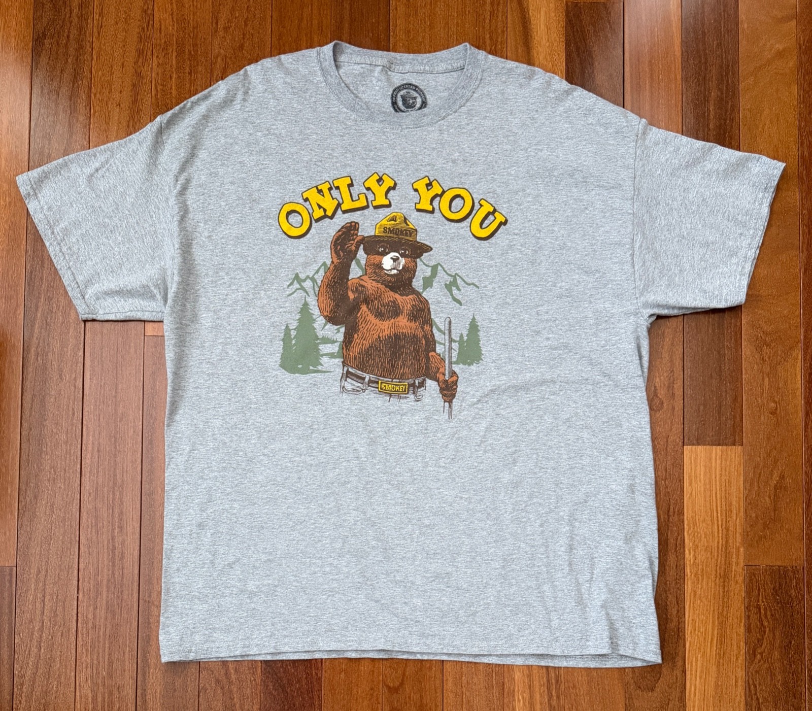 Smokey The Bear ONLY YOU Forest Fire Prevention T-Shirt Gray Short Sleeve 2XL