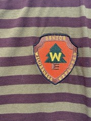 Disney Pixar UP Wilderness Explorer Striped Tshirt w/ Patch – Unisex Men’s MED
