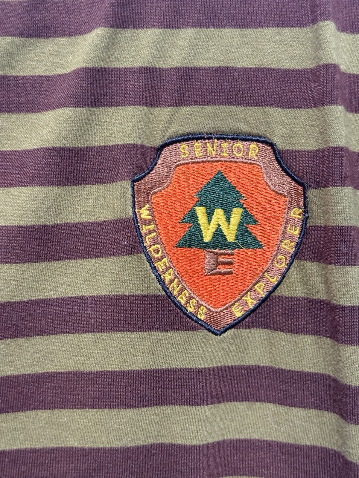 Disney Pixar UP Wilderness Explorer Striped Tshirt w/ Patch - Unisex Men's MED gallery