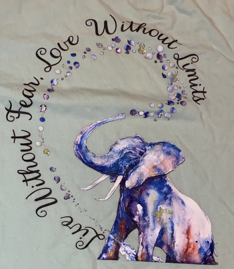 Elephant BELLA + CANVAS Mint Green Live Wo Fear. Love Wo Limits SS T Shirt Sz M gallery