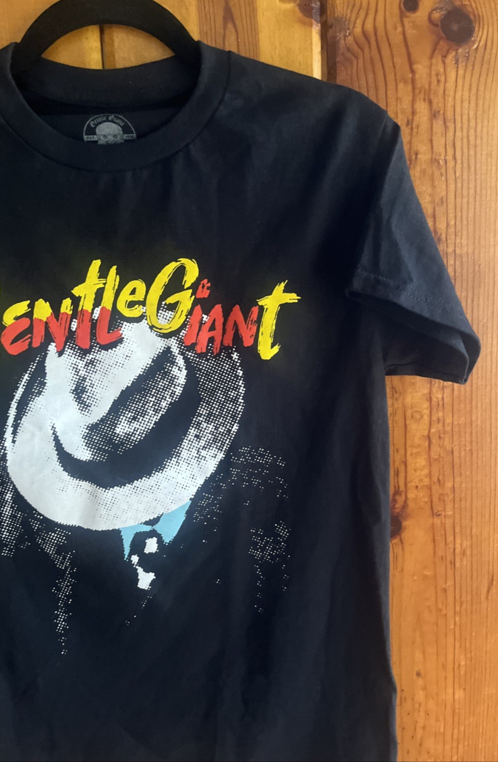 AUTHENTIC Gentle Giant Official Merch - Black T Shirt - CITIZEN ALBUM - Size S gallery