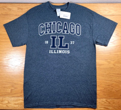 Chicago Illinois T-Shirt Men’s Medium Gray White Adult Applique Logo USA Travel