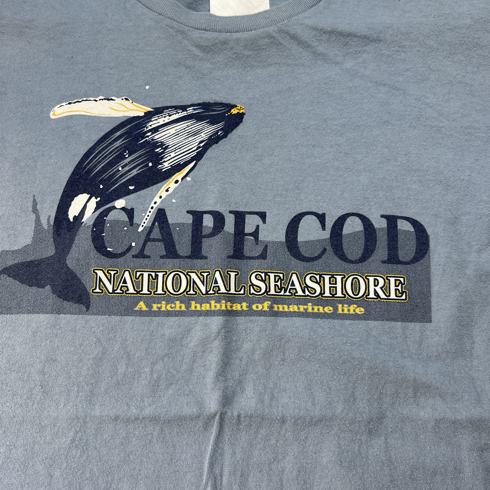 Cape Cod National Parks Marine Life Whale Watch Seashore Mens T Shirt USA Blue gallery