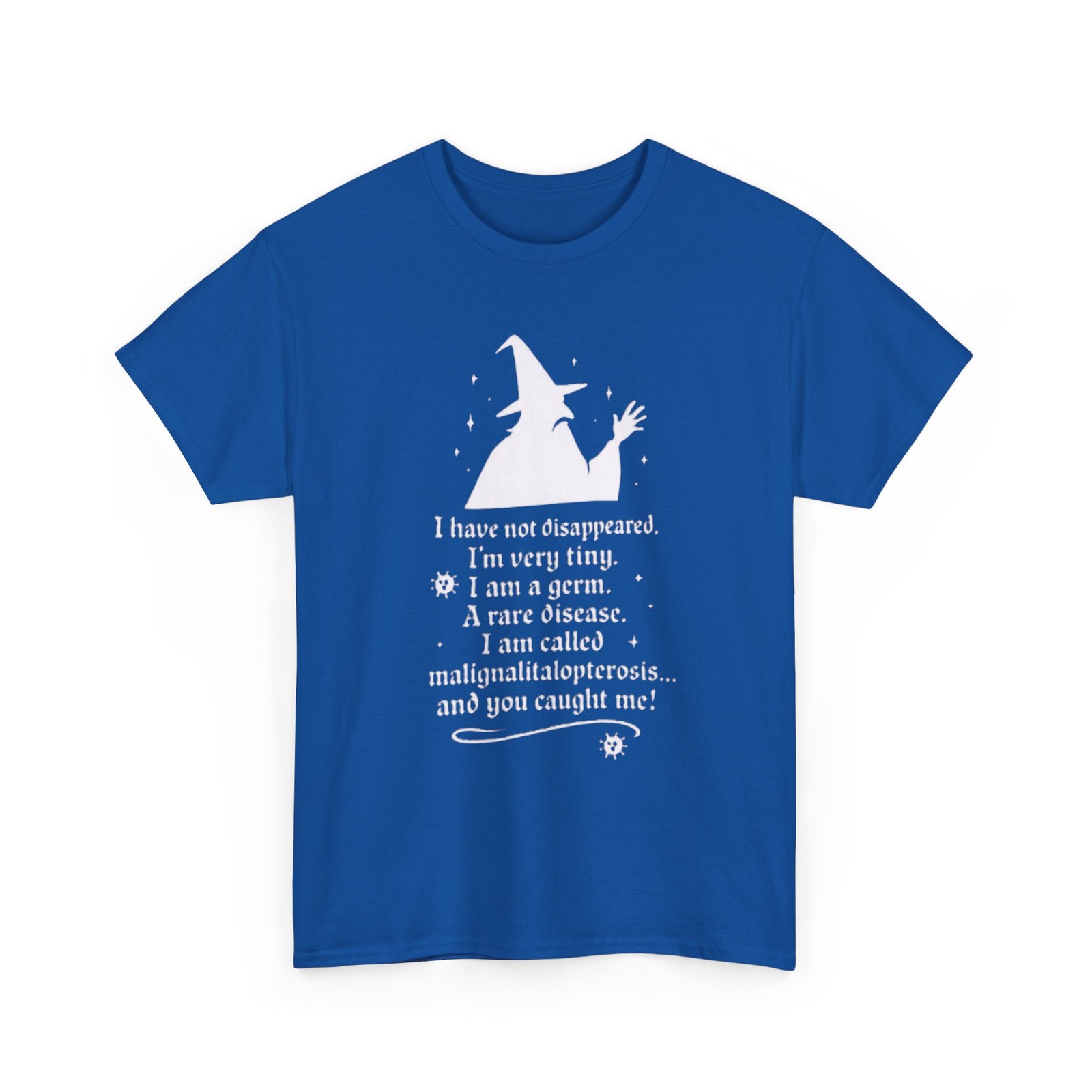 Disney Inspired Shirt | Merlin Quote Tee | Sword in the Stone Graphic Tee gallery