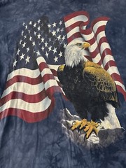 Y2K The Mountain Eagle Tie Dye USA American Flag T Shirt Adult Sz XL Mens