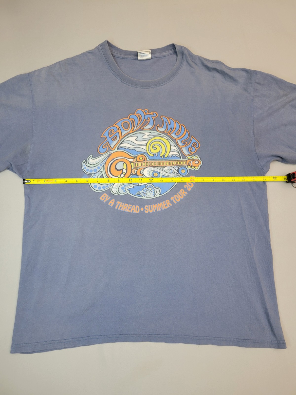 Govt Mule Vintage T-Shirt By A Thread Summer 2010 Tour Size XL gallery
