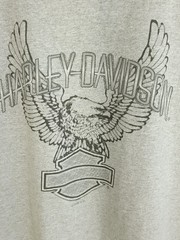 Birmingham AL Riders Harley Davidson Graphic T-Shirt Men’s XXL Gray Sleeveless