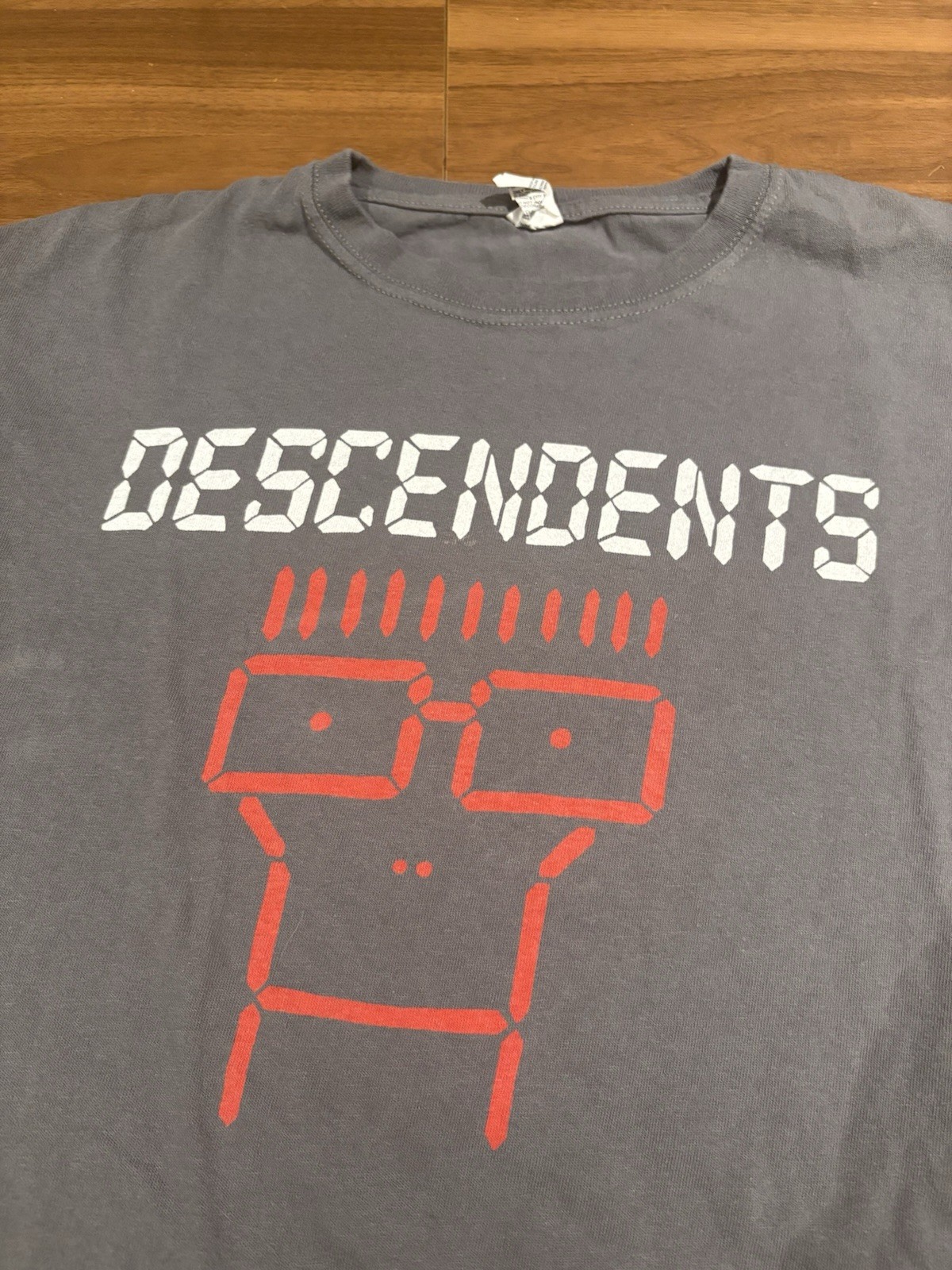 VINTAGE Y2K DESCENDENTS MILO FADED TEE Blue Anvil Tag Size L gallery
