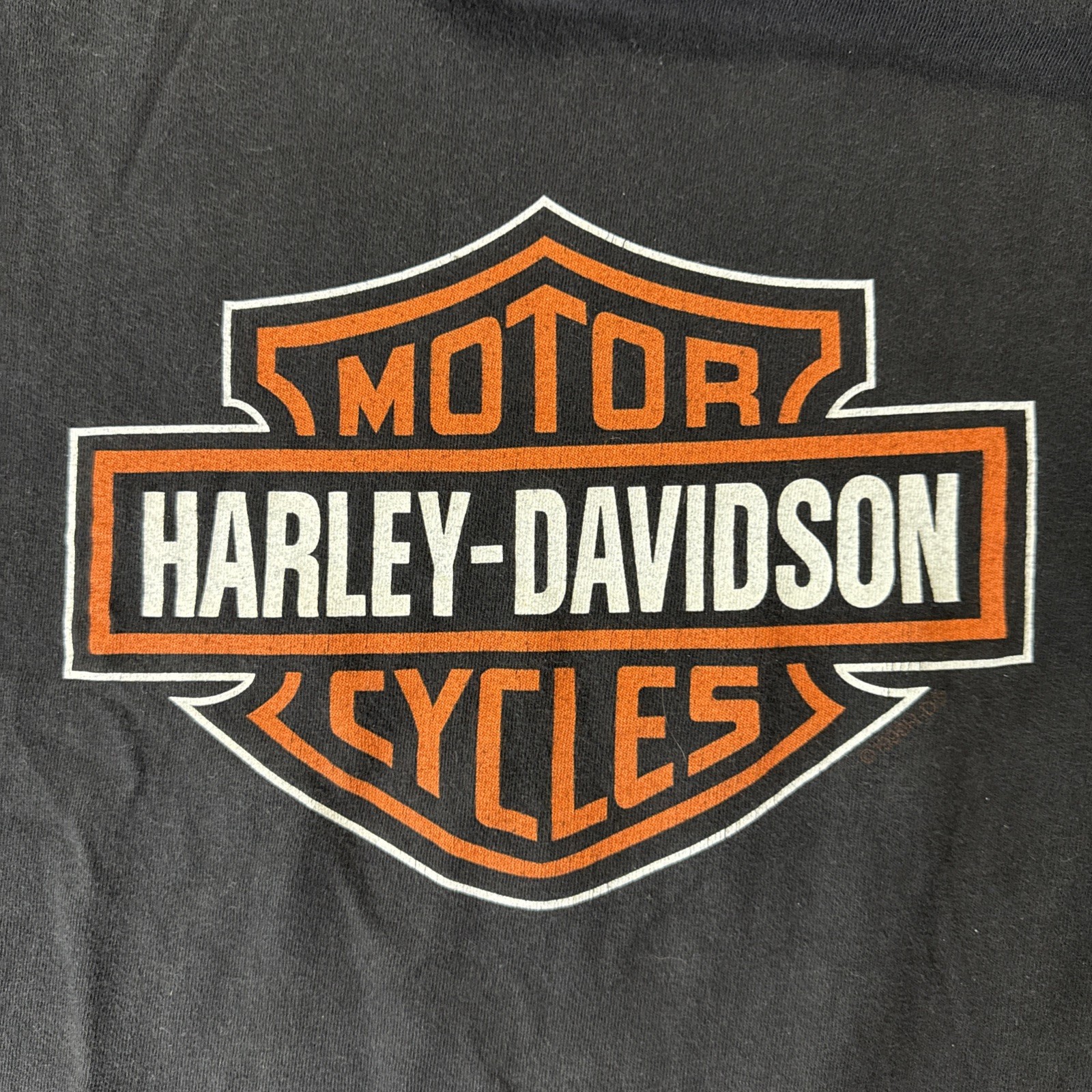 Vintage Harley Davidson Chicago Home of the Blues T Shirt Holoubek Large USA gallery
