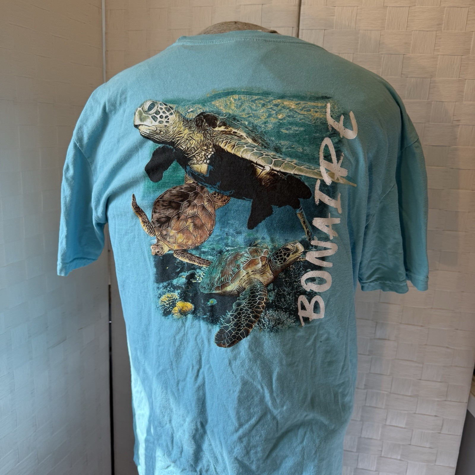 Comfort Colors Men's L Blue Short Sleeve Sea Turtle Sea Life Graphic T-Shirt gallery