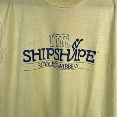 VTG Single Stitch Paper Thin THRASHED T Shirt USA Dad Grandpa Grunge Streetwear