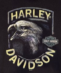 Harley Davidson Eagle Wolf Native American Graphic T Shirt Black Bear VA L