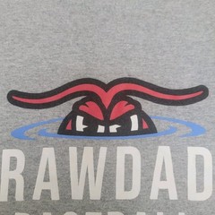 Crawdads MLB Class A Minor Pro Lg. Baseball Hickory N. Carolina T-Shirt