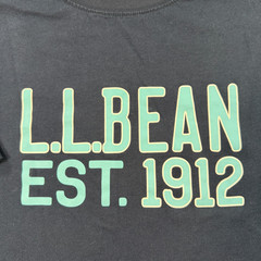 LL Bean Carefree Unshrinkable Logo Tee Shirt Mens Large Navy Blue 508335