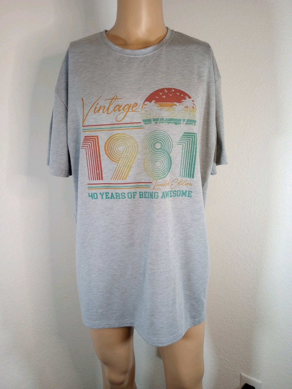 Cricut Men's Vintage 1981 95% Polyester 5% Elastane 2XL Crew Neck SS Multicolor gallery
