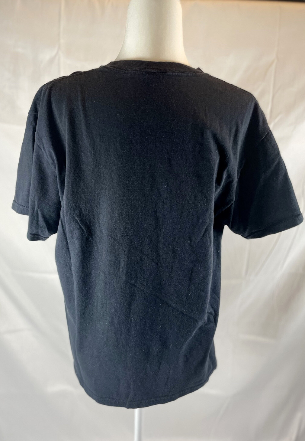 Y2K PENNSYLVANIA Black T Shirt Top Up North Worlds End Size M neon PA FOX RETRO gallery