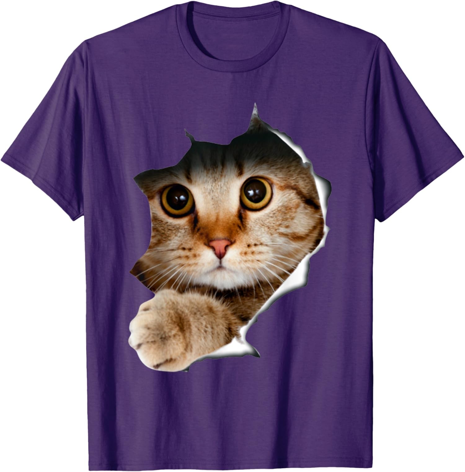 Kitten Lover Cute Kitten Cat Lover Funny And Cute Unisex T-Shirt gallery