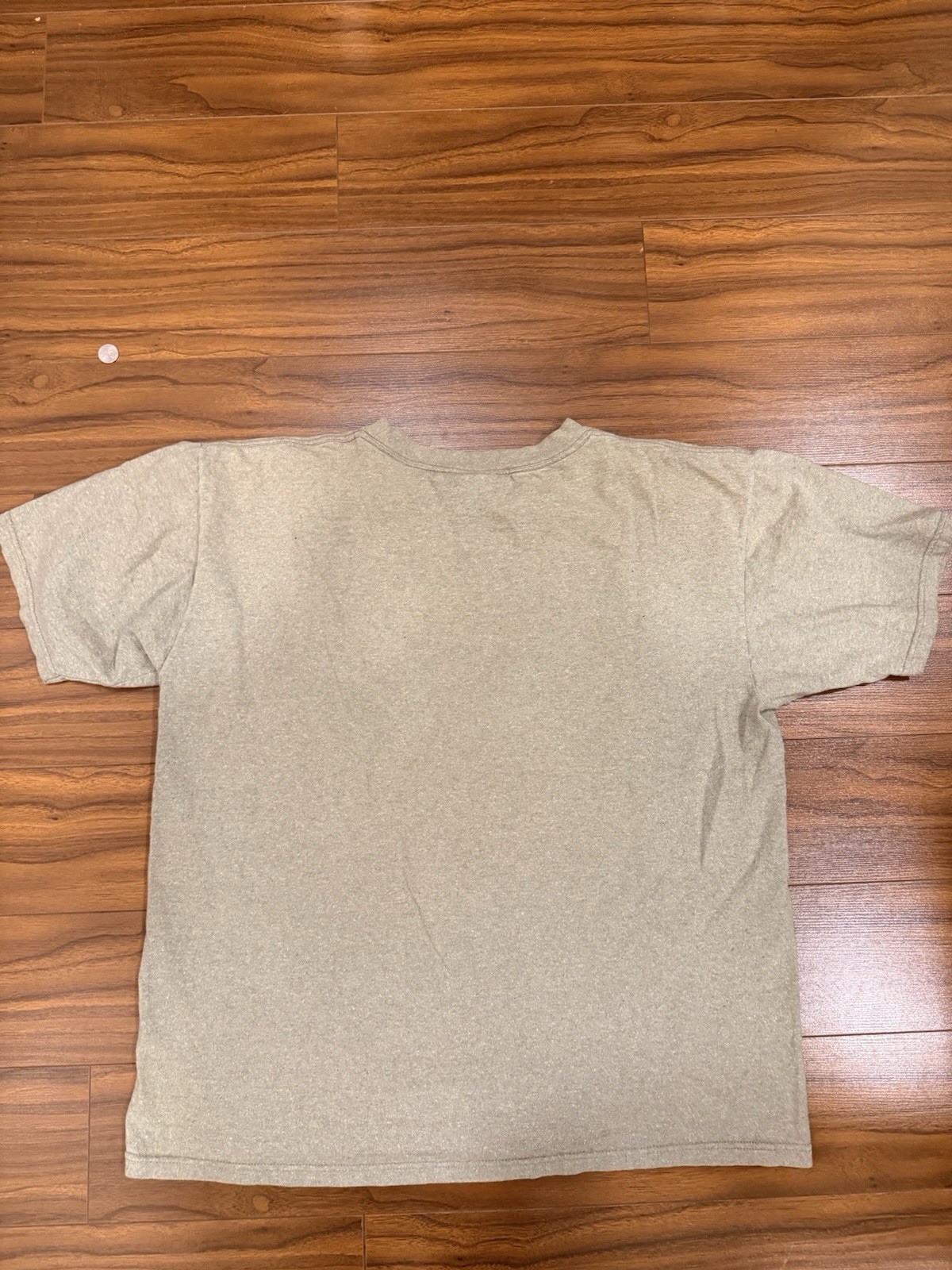 Eco Mountain T-Shirt Mens Size X-Large Grand Canyon Sage Grey Graphic Casual gallery