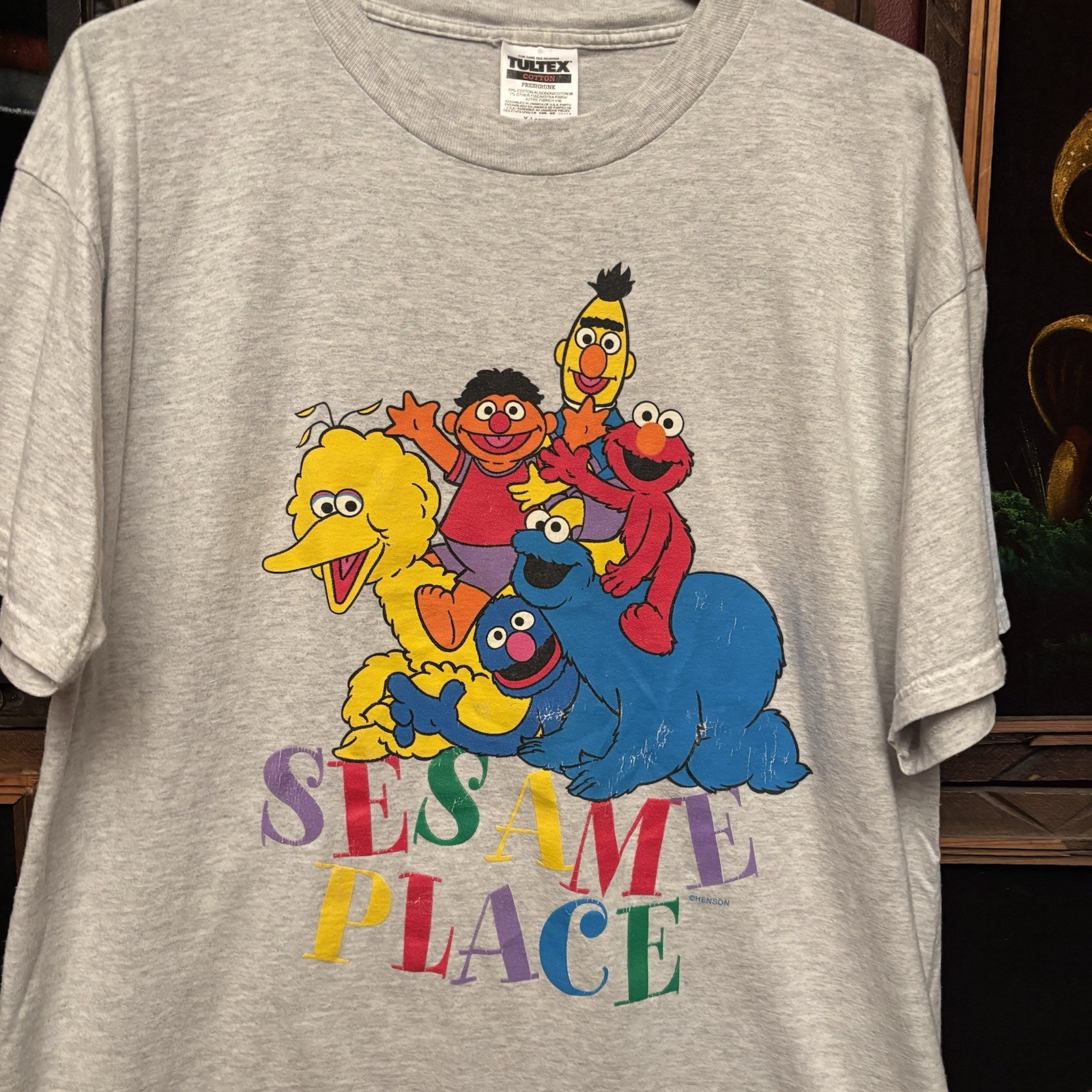 Vintage Sesame Place Sesame Street 90s Adult Men’s XL Grey Cotton T-Shirt gallery
