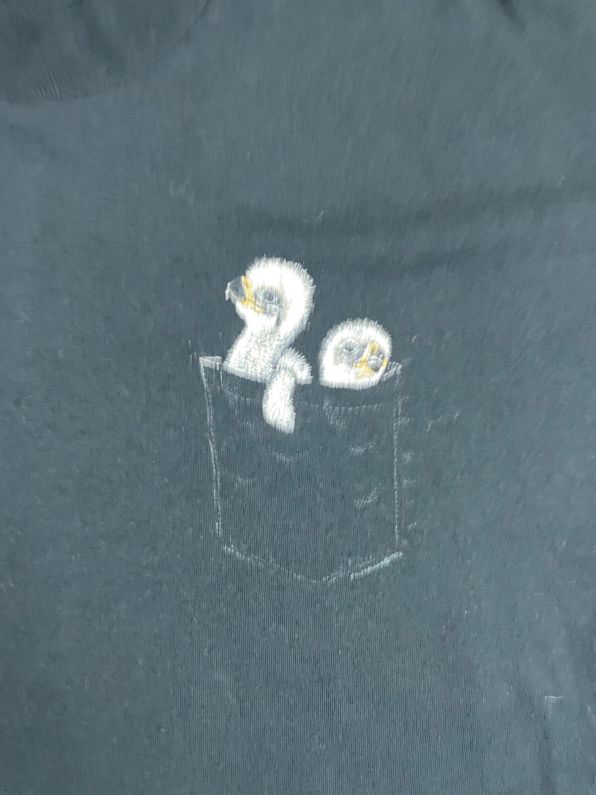 Vintage Fruit Of The Loom T-Shirt Mens Large Single Stitch Pocket Chicks Black gallery