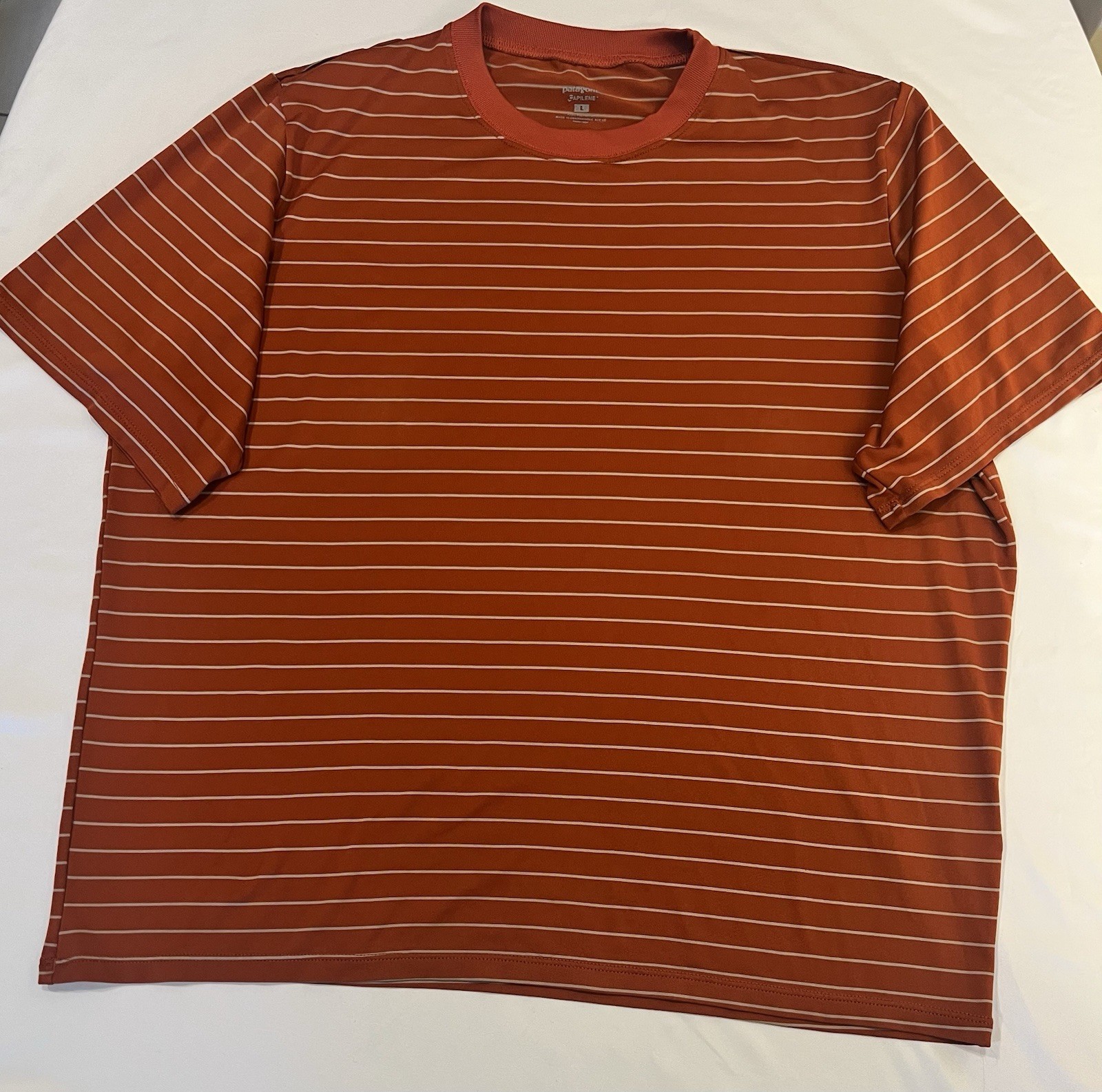 Patagonia Capilene Men's L Striped Crew Neck Short Sleeve T-Shirt gallery