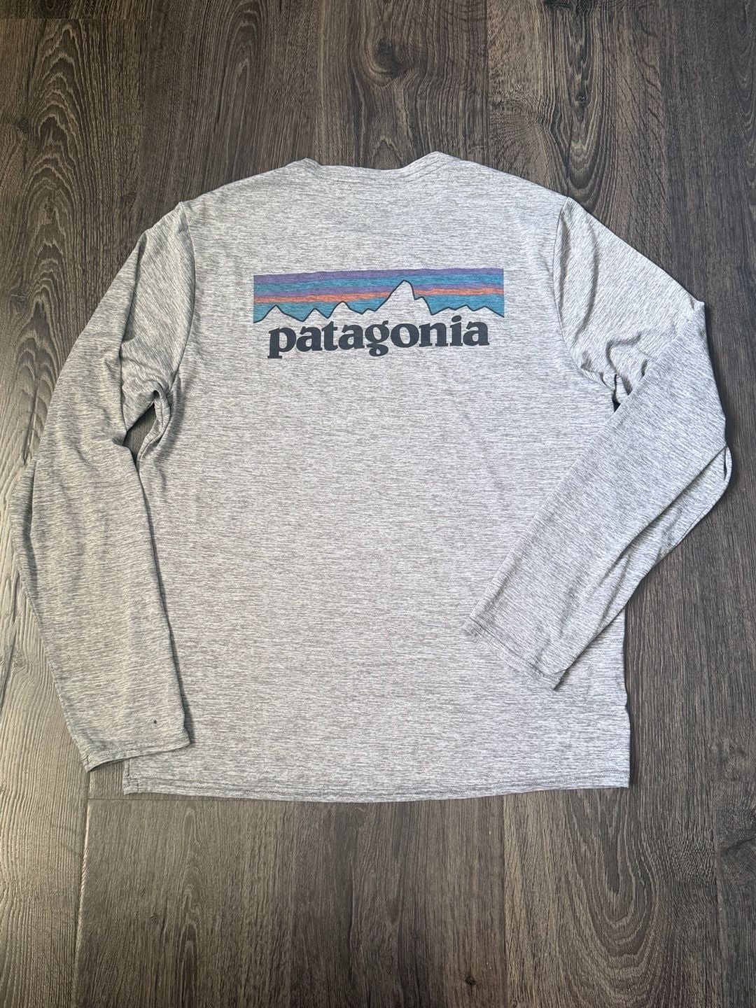 Patagonia Men's Capilene Cool Daily Graphic Long-Sleeve Shirt in Feather Grey gallery