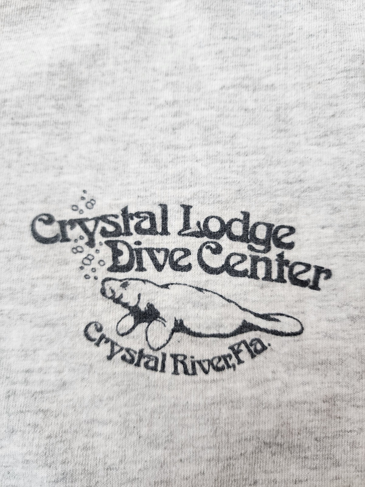 Vtg Crystal Lodge Dive Center Florida Graphic shirt Large No Tag. *STAINS* gallery