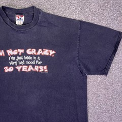 VTG 00s Tee Jays Sof Tee Shirt Men XL Black Grunge Sarcastic Humor Funny Tee Y2K