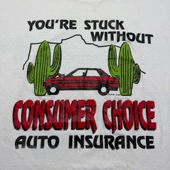 Vintage 80s Consumer Choice Auto Insurance Desert Promo Graphic T-Shirt USA – XL