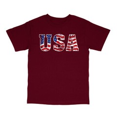 Patriotic USA Flag Print Red White Blue Mens Short Sleeve T-Shirt 21702EV2