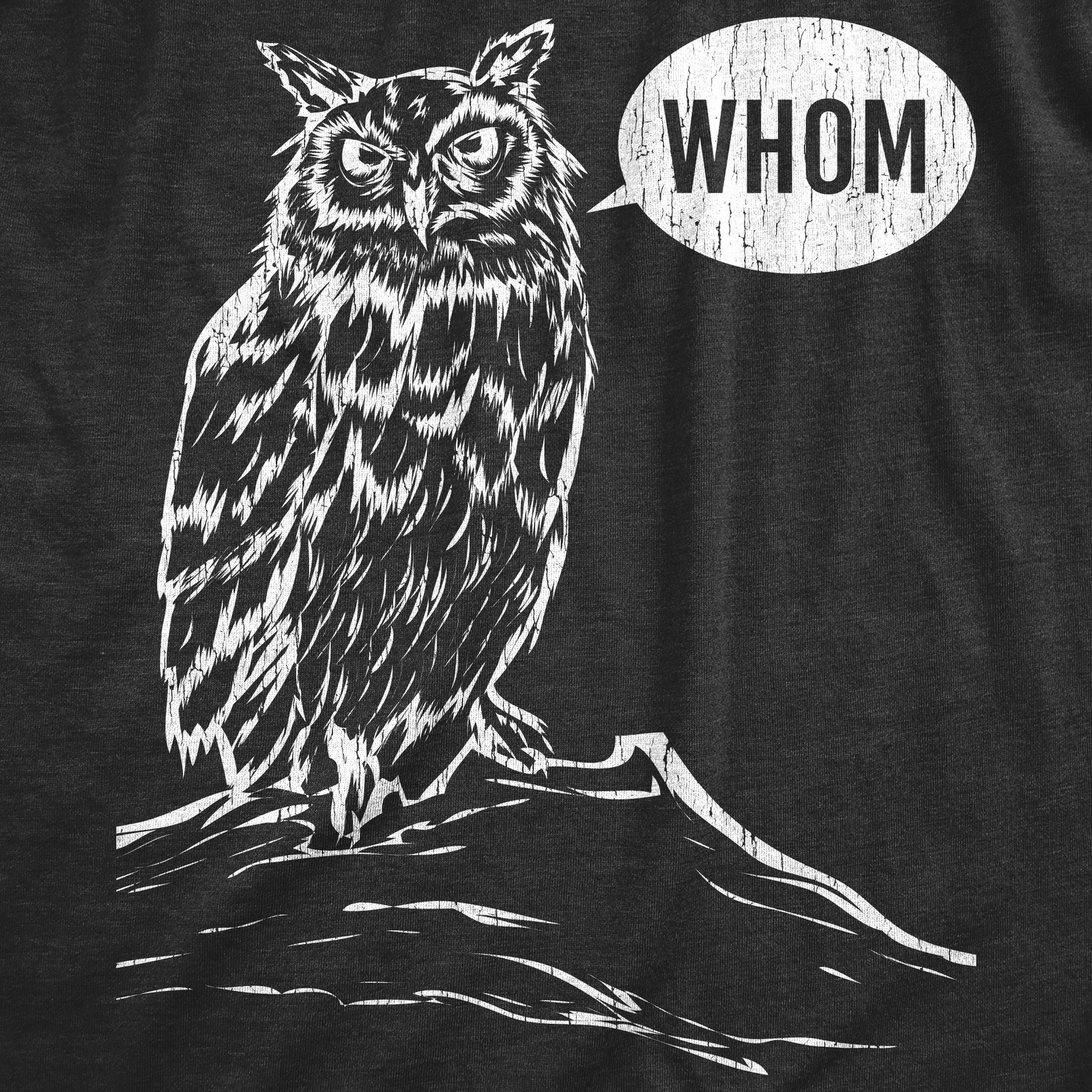 Mens Whom Owl T Shirt Funny Grammar Nerd Sarcastic Graphic Novelty Tee gallery