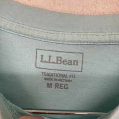 LL BEAN Men’s Carefree Unshrinkable Tee Medium Traditional Fit Gulf Teal Heather