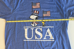 NWT Peanuts x Hybrid Apparel Men’s Size L USA T-Shirt Blue Snoopy Woodstock
