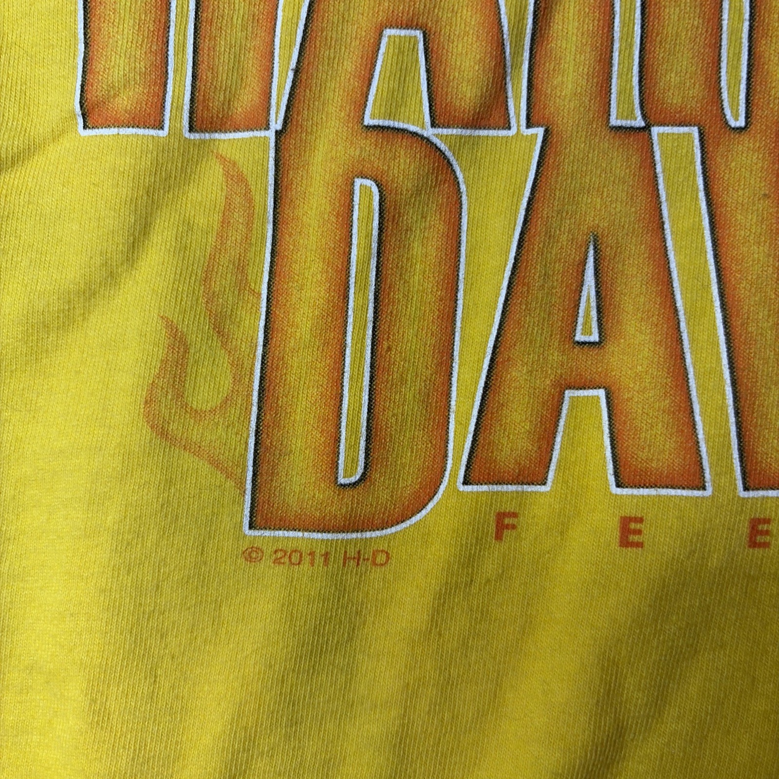 Vintage Harley Davidson Shirt Mens Large Long Sleeve Y2K Yellow Flames 2000s gallery