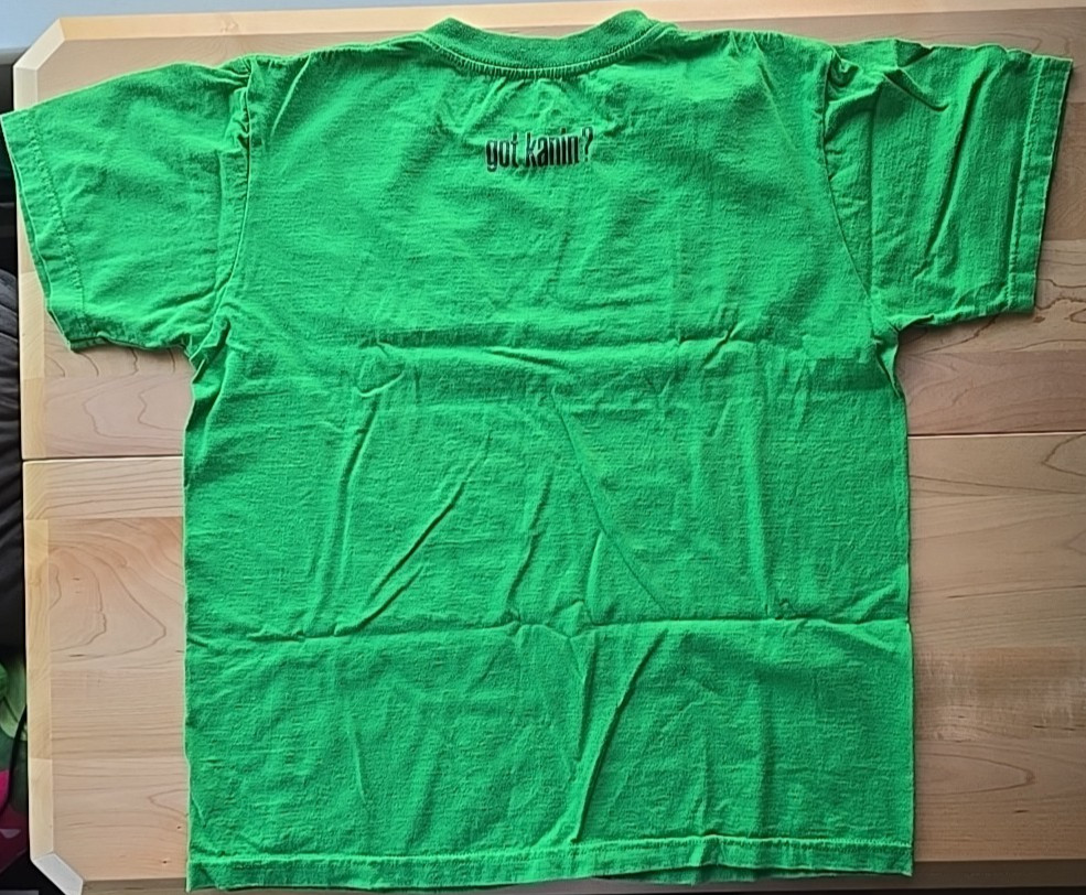 Got Kanin Filipino Pinoy Tagalog Got Rice - Only in Jewels T-shirt Green Medium gallery